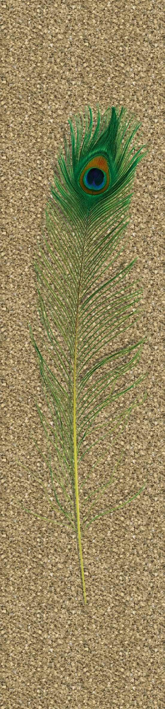 Vliestapete GLÖÖCKLER, grün, B:0,7m L:3,3m, Vlies, Tapeten, moderne Tapete für Wohnzimmer Schlafzimmer Küche