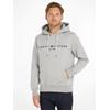 Kapuzensweatshirt TOMMY HILFIGER "TOMMY LOGO HOODY", Herren, Gr. XXXL (56/58), grau (cloud htr), Obermaterial: 72% Baumwolle, 28% Polyester, casual, Basic schmal, Langarm Rippbündchen, Sweatshirts