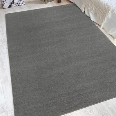 Teppich ANDIAMO "Jerez" Gr. 4, grau (hellgrau), B:160cm H:8mm L:230cm, Kunstfaser, Teppiche, Kurzflor, gewebt, Uni-Farben, auch als Läufer Image