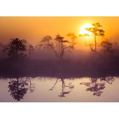 Fototapete PAPERMOON "Misty Morning Scenery", bunt (mehrfarbig), B:4m L:2,6m, Vlies, Tapeten Image