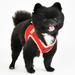 Red Step-In Soft Vest Dog Harness II, XX-Large