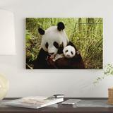 East Urban Home 'Giant Panda Gongzhu & Cub' Photographic Print on Canvas Canvas, Cotton in Black/Brown/Green | 8 H x 12 W x 0.75 D in | Wayfair