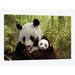 East Urban Home 'Giant Panda Gongzhu & Cub' Photographic Print on Canvas Canvas, Cotton in Black/Brown/Green | 18 H x 26 W x 1.5 D in | Wayfair