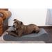 FurHaven Microvelvet Luxe Chaise Lounge Orthopedic Dog Bed Polyester in White/Brown | 9 H x 58 W x 42 D in | Wayfair 31739391