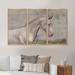 Ebern Designs Portrait Of A Galloping White Horse III - Traditional Framed Canvas Wall Art Set Of 3 Canvas, Wood in Gray | Wayfair