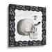 The Holiday Aisle® Arsenic & Anatomy V - Graphic Art on Canvas Canvas, Linen in White | 10 H x 10 W x 2 D in | Wayfair