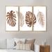 Bay Isle Home™ Tropical Monstera & Palm Leaf In Terracotta - 3 Piece Floater Frame Painting on Canvas in White | 28 H x 36 W x 1 D in | Wayfair