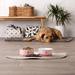 Tucker Murphy Pet™ Paw & Patch Ceramic Pet Collection Porcelain/Stoneware (dishwasher safe)/Ceramic in Red/Pink | 2 H x 4.25 W x 4.25 D in | Wayfair