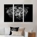 Latitude Run® Male Asiatic Lion - 3 Piece Floater Frame Graphic Art on Canvas Canvas, Wood in White | 20 H x 36 W x 1 D in | Wayfair