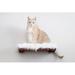 Tucker Murphy Pet™ 4" Carsan Plush Cat Perch Wood in Brown | 4 H x 18 W x 11 D in | Wayfair F36F2F90F77A460095789997ADDB78DF