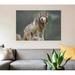 East Urban Home 'Wolf, North America I' Graphic Art Print on Canvas Canvas/Paper in Gray/Green | 18 H x 26 W x 1.5 D in | Wayfair