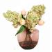 Primrue Hydrangea & Tulip Mixed Centerpiece in Vase Polysilk in Green | 16 H x 17 W x 14 D in | Wayfair 10669E0CD4894E90A8E682C66182B2E5