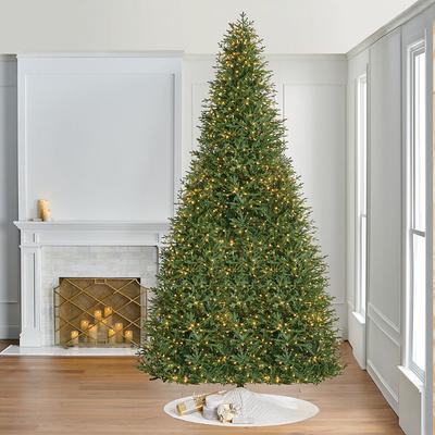 Fraser Fir Slim Profile Tree - 15 Ft. - Frontgate - Christmas Tree