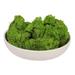 Vickerman 668726 - Grass Green Preserved Reindeer Moss 2Lbs (H4RDM150-2) Dried and Preserved Plant Filler