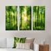 Loon Peak® Forest w/ Rays Of Sun Panorama - Landscape Framed Canvas Wall Art Set Of 3 Metal in Green | 32 H x 48 W x 1 D in | Wayfair