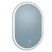 Arpella Grace Oval Frameless LED Mirror w/ Memory Dimmer & Defogger in White | 36 H x 24 W x 1.5 D in | Wayfair LEDOVM2436