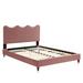Current Performance Velvet Platform Bed by Modway Upholstered in Pink | 26 H x 63.5 W x 84 D in | Wayfair MOD-6731-DUS