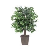 Vickerman 723463 - 4' Ficus Bush Brown Square Plastic Pot (TBU0140-SB) Home Office Bushes