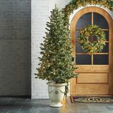 Montana Outdoor Flocked Pine Full Profile Tree - Frontgate - Christmas Tree