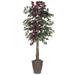 Vickerman 701379 - 6' Capensia Deluxe Round Brown Cont (TDX0360-RB) Capensia Home Office Tree