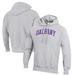 Men's Champion Heathered Gray Albany Great Danes Reverse Weave Fleece Pullover Hoodie