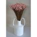 Primrue Daisy Floral Arrangement Natural Fibers in White | 12 H x 6 W x 6 D in | Wayfair 2E75FF8183CA4147A711E6289AE46487