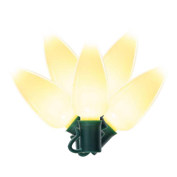 Vickerman 683637 - 25 Light 25' Green Wire Warm White LED C9 Christmas Light String Set with 8