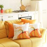 Fall Thanksgiving Decorative Throw Pillow Pumpkin & Solid for Set of 4