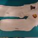 Disney Accessories | Disney Pooh And Eyore Women's Ankle Socks. New Without Tag. | Color: White | Size: Os
