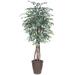 Vickerman 701850 - 6' Variegated Ficus Executive Rnd Brown (TEX0260-RB) Ficus Home Office Tree