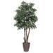 Vickerman 702413 - 6' Mini Ficus Executive Round Brown Cont (TEX4260-RB) Ficus Home Office Tree