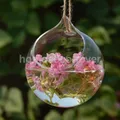 Vase en verre transparent pour plantes à fleurs pot de bouteille décor de boule de jardin de