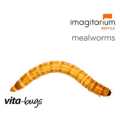 Vita-Bugs Mealworms - Mini 100 Count