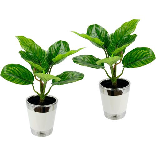 "Kunstpflanze I.GE.A. ""Maranthuspflanze im Topf"" Kunstpflanzen Gr. B/H: 26 cm x 36 cm, 2 St., grün Kunstpflanze Zimmerpflanze Kunstpflanzen"