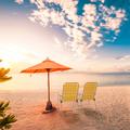 Borba Arlmont & Co. Kilner Plastic Beach Folding Chair Metal in White/Yellow | 37.4 H x 22 W x 22 D in | Wayfair 8F6F815D21AC49E29E414290321A6016