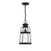 Savoy House Lighting One Quinton 16 Inch Tall Outdoor Hanging Lantern - L5-2943-BK