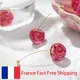 Boucles d'oreilles en forme de cerise pour femmes bijou en cristal délicat goutte de tempérament