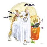 The Holiday Aisle® Halloween Pets V Canvas | 12 H x 12 W x 1.25 D in | Wayfair 19FEC7B0C432435D970B9F22197F8E85