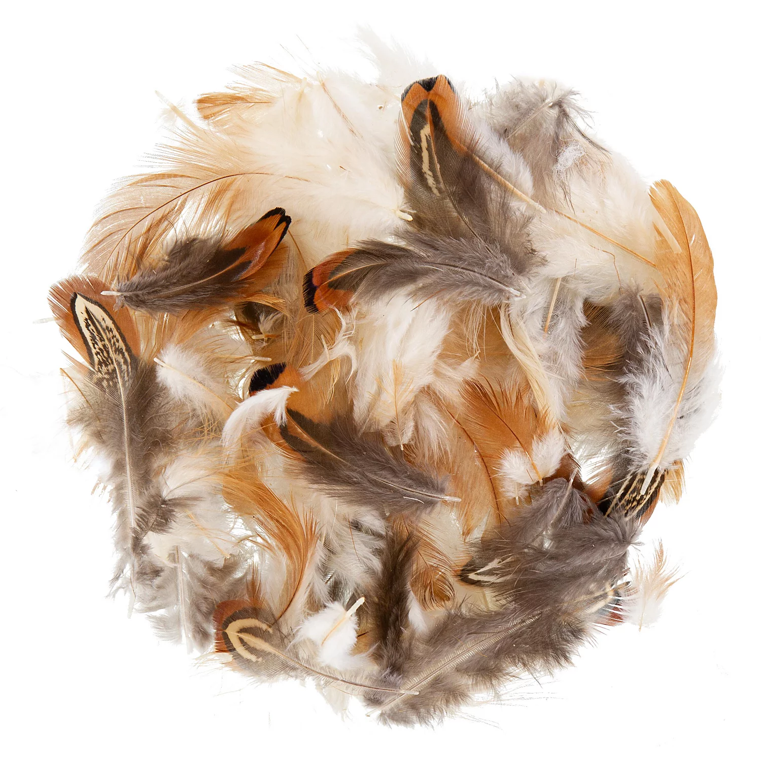 Echte Fasan- & Hühnerfedern Naturtöne, 10 g = ca. 250 Stück Image