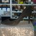 Michael Kors Shoes | Michael Kors Dorthy Flex Sparkle Pumps - New & In Box | Color: Black | Size: 7.5