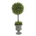 Primrue Artificial Green Oregon Juniper Topiary Plastic | 21 H x 8 W x 8 D in | Wayfair 6766B66D61E54779A56E00F9FF18FF00