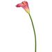 Freeport Park® Artificial Calla Lily Stem Polyester in Red/Pink | 28 H x 5 W x 5 D in | Wayfair 717C9C3F9D1643BDB6EF8EE27702E60E