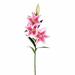 Primrue 36" Artificial Real Touch Lily Spray | 36 H x 8 W x 8 D in | Wayfair C47D252D4C324B2DB0542515D796B8F7