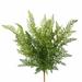 Primrue 2 - Piece Artificial Fern Branch Set Plastic | 26 H x 12 W x 16 D in | Wayfair F0CED9ABB79B4F3DA549EAE5121DD47C