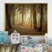 Millwood Pines Path By Melancholic Forest II - Floater Frame Print on Canvas Metal in Black/Brown/Red | 16 H x 32 W x 1 D in | Wayfair