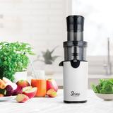 Tribest Shine Slow Masticating & Cold Press Juicer Stainless Steel in White | 17.3 H x 7 W x 5.8 D in | Wayfair SJX-1WH-A