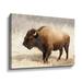 Foundry Select American Bison III Gallery Wrapped Canvas in Brown/Gray | 14 H x 18 W x 2 D in | Wayfair CCF883BFB7C140BAA1E652A01AA1B59B