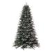 Vickerman 692806 - 9' x 66" Artificial Frosted Douglas Fir Unlit Christmas Tree (K224680)