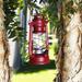 Alpine 10" Battery Powe Outdoor Lantern, Glass in Red | 10 H x 5 W x 6 D in | Wayfair BST124RD