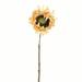 Rosalind Wheeler 24" Artificial Sunflower Stem Silk/Plastic/Fabric | 24 H x 4 W x 4 D in | Wayfair F47B8BA8EC4E49719622BCBDD44349B9